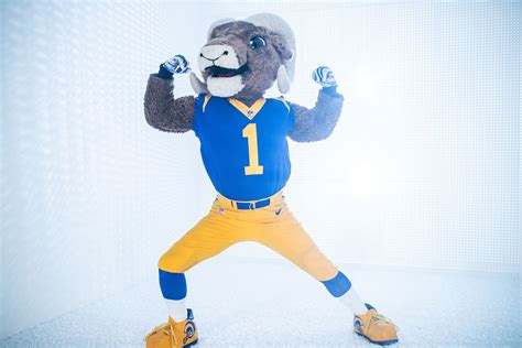 The 100 mascots saga: From celebration to chaos